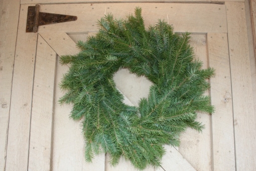 Douglas Fir