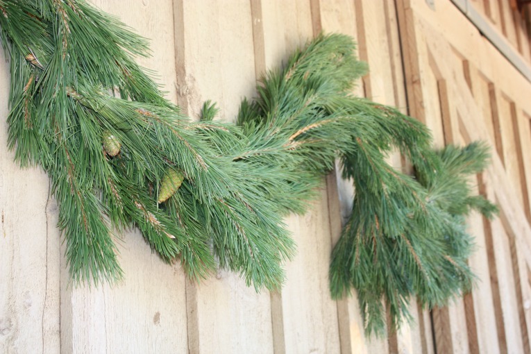 Austrian Pine Garland