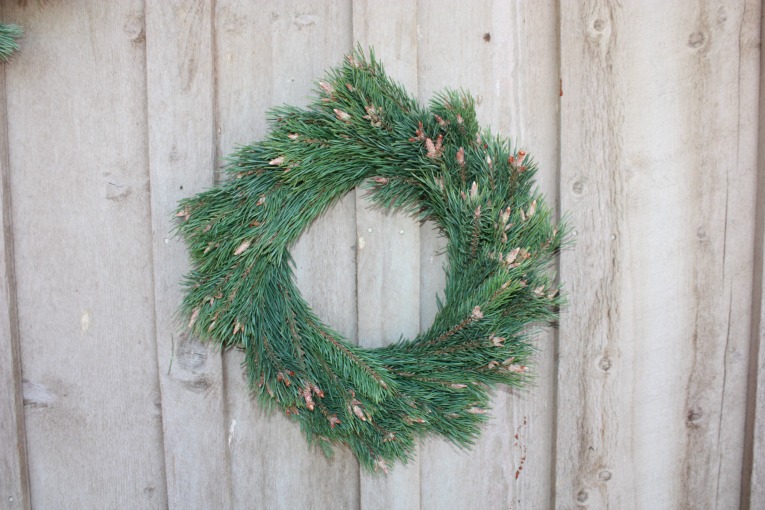 Scotch Pine Tips Wreath