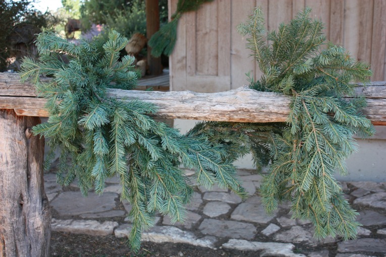 Alpine Fir Garland