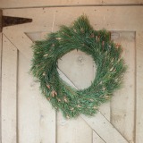Scotch Pine Tips Wreath