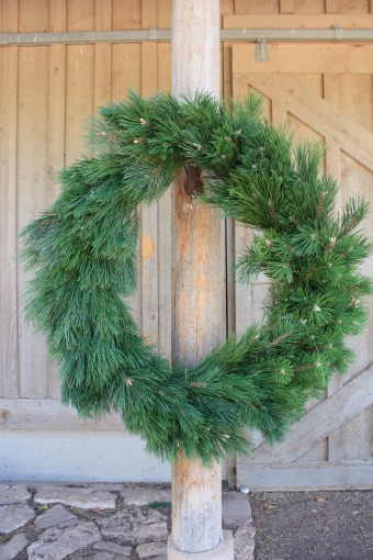 Austrian Pine Wreath